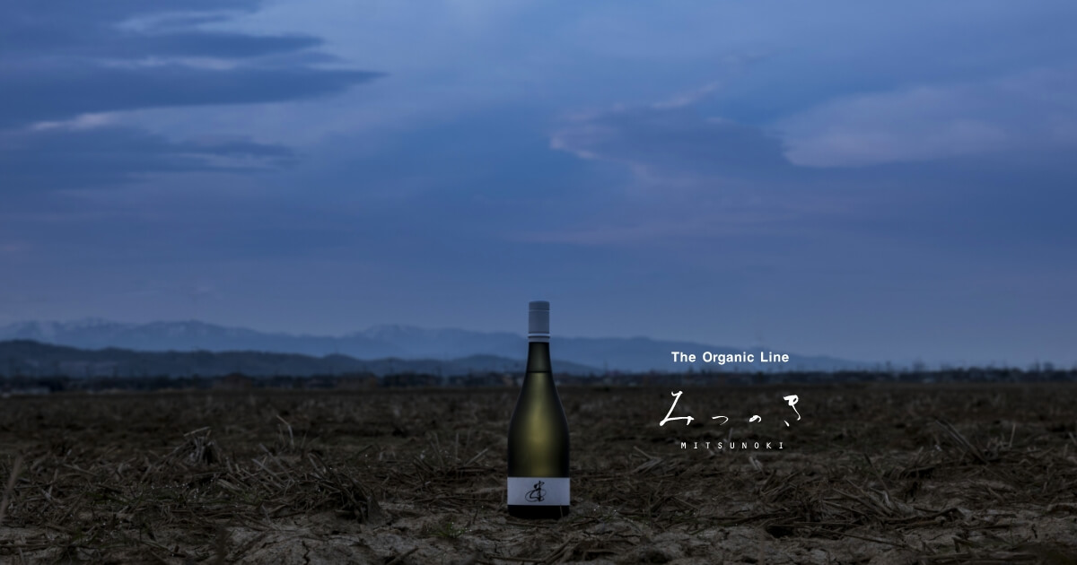 みつのき｜F1625